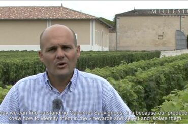 Chateau Ormes de Pez''s Wines (subtitles) - Bordeaux - Millesima