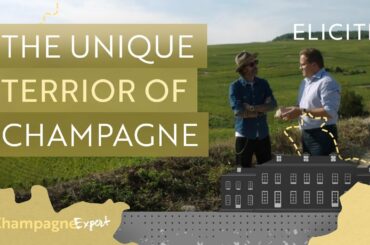 The Unique Terroir Of The Champagne Wine Region