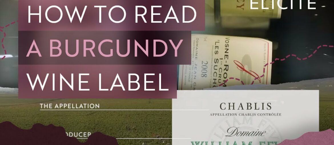 How To Read A Burgundy Wine Label