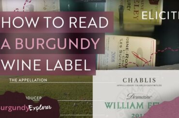 How To Read A Burgundy Wine Label