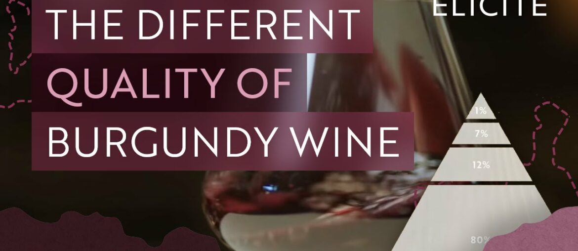 How To Tell The Quality Of A Burgundy Wine