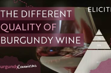 How To Tell The Quality Of A Burgundy Wine