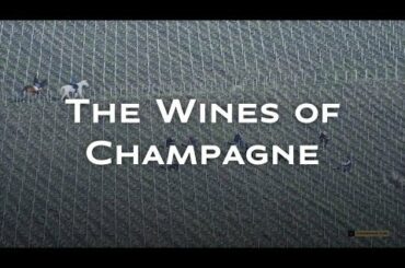 The Wines of Champagne