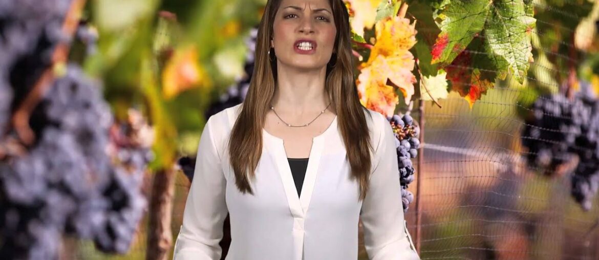 Japanese bathe in pool of red wine to celebrate French holiday Japanese bathe in pool of red wine to celebrate French holiday