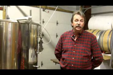 The Wine Making Process