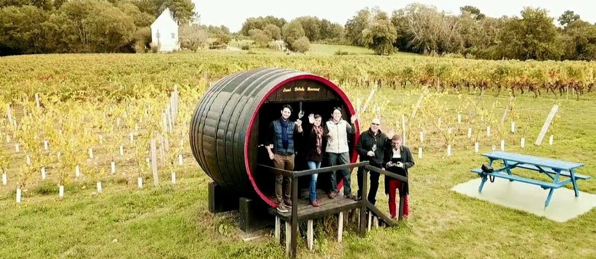 WOW! Giant Wine Barrel in Vineyard - Perfect Picnic Area in the Loire Valley of France