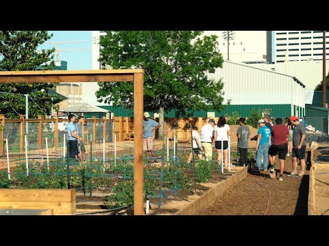 Rice University constructs a holistic garden for on-campus dining and education Rice University constructs a holistic garden for on-campus dining and education