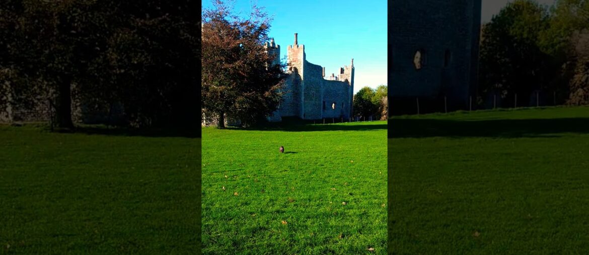 Tiffin's Framlingham Fun