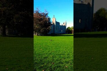 Tiffin's Framlingham Fun