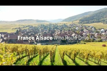 프랑스 여행 France trip| 프랑스 알자스 와인가도 드라이브 France Alsace Wine Route Drive Riquewihr Ribeauvillé Bergheim