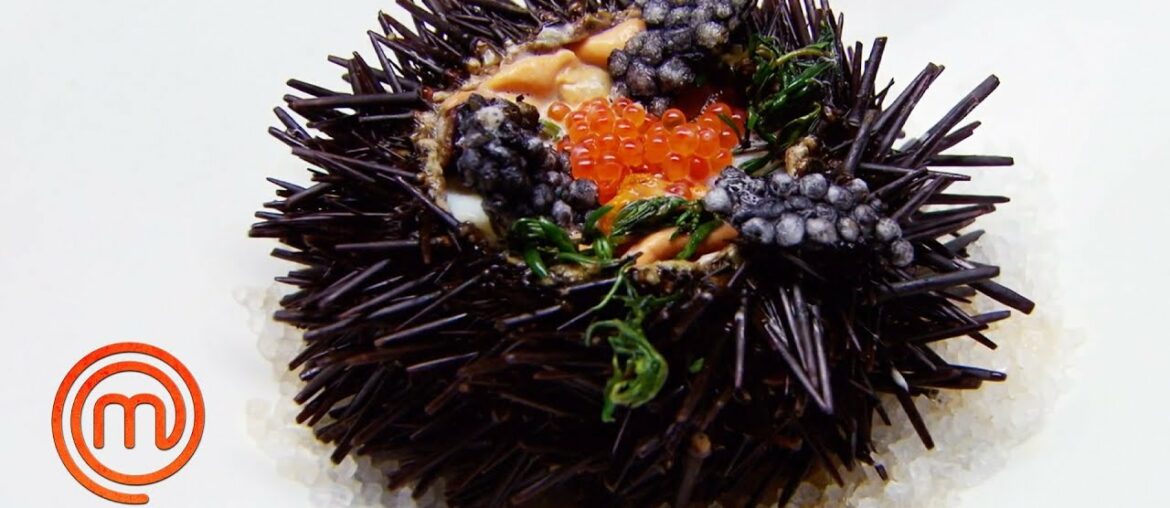 French Sea Urchin Dish Pressure Test | MasterChef Australia | MasterChef World French Sea Urchin Dish Pressure Test | MasterChef Australia | MasterChef World