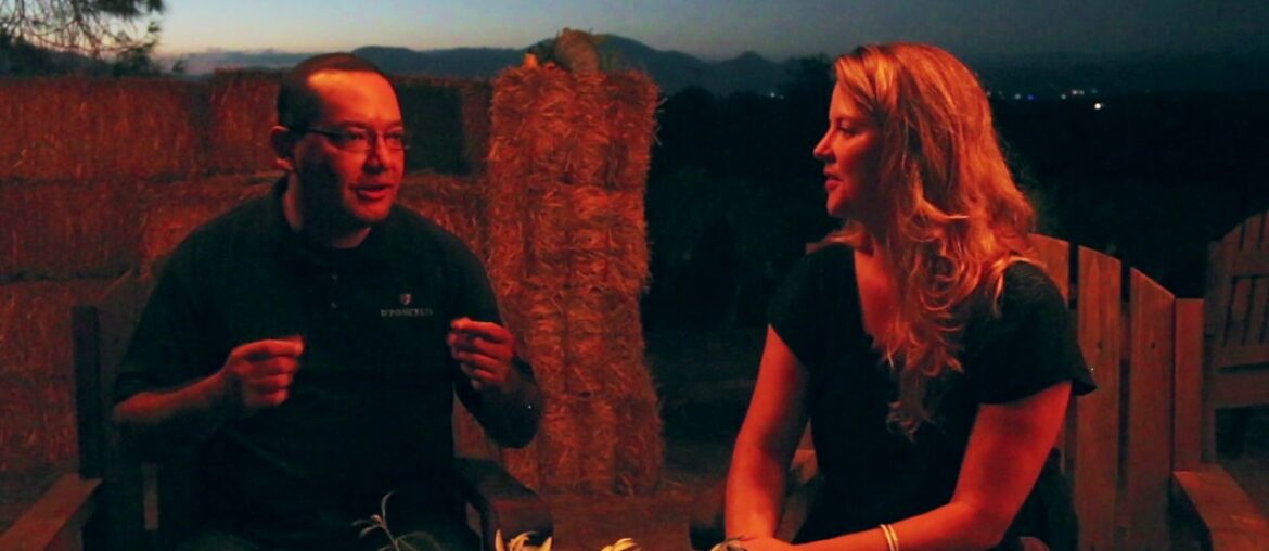 Mexican wine and food pairings: with sommelier and winemaker Pedro Poncelis Jr Mexican wine and food pairings: with sommelier and winemaker Pedro Poncelis Jr