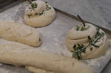 Part 1 - Babylonstoren in Paarl - A tour of the garden by La Rochelle Wine and Gourmet Tours