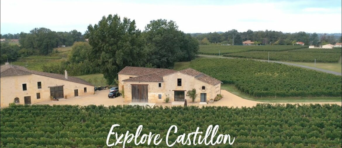 Explore Castillon and it's vineyards Explore Castillon and it's vineyards