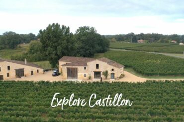 Explore Castillon and it's vineyards