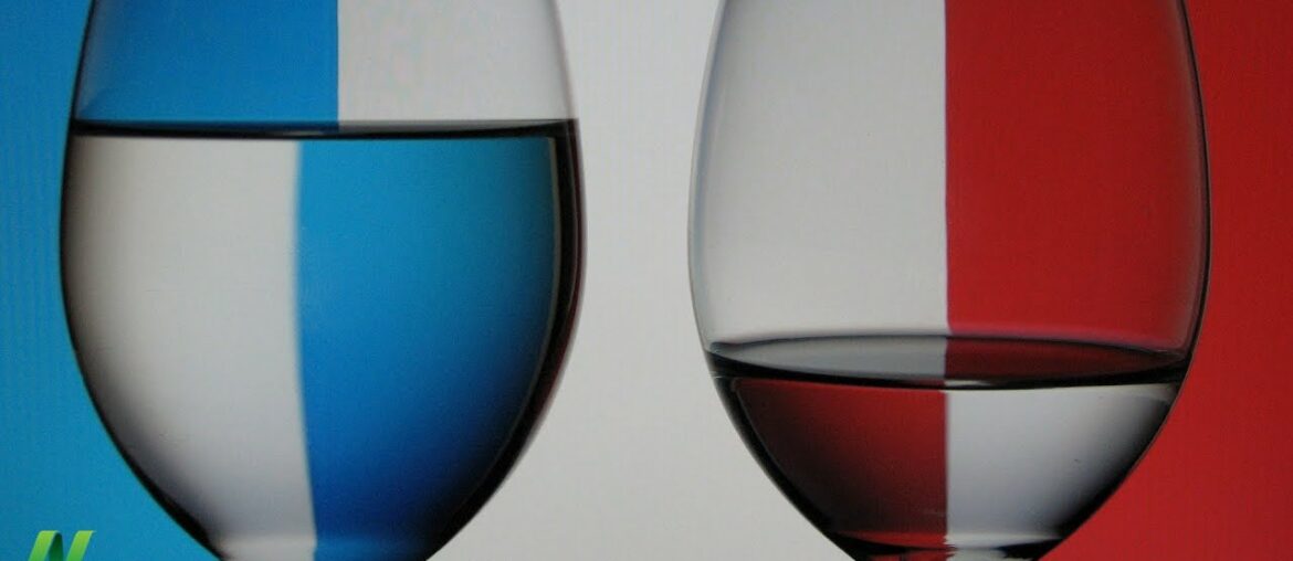 What Explains the French Paradox?