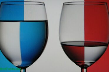 What Explains the French Paradox?