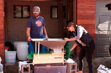 Making Red Wine from Grapes