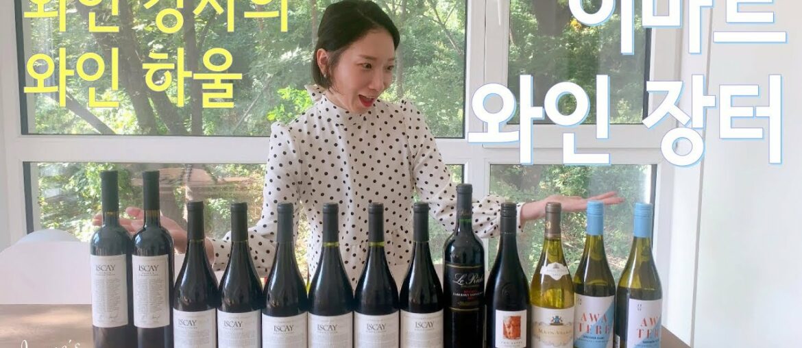 이마트 와인 장터 – 와인 강사의 와인 추천 (ft. 이마트 청계천점) 이마트 와인 장터 - 와인 강사의 와인 추천 (ft. 이마트 청계천점)