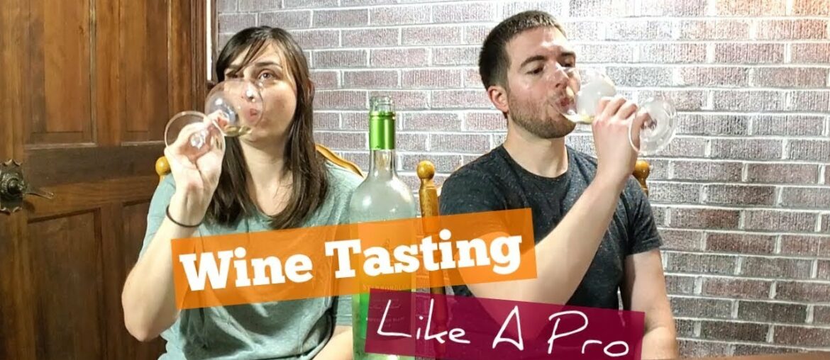How To Taste Wine Like A Pro [4 Steps] -- Bonus Best Wine Under $20 Review [Sauvignon Blanc]