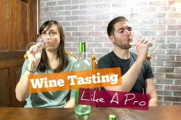 How To Taste Wine Like A Pro [4 Steps] -- Bonus Best Wine Under $20 Review [Sauvignon Blanc]