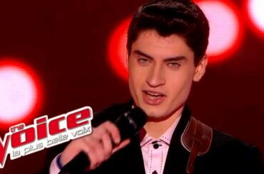 Elvis Presley – Blue Suede Shoes | David Thibault | The Voice France 2015 | Blind Audition