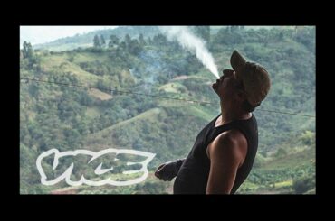 Kings of Cannabis (Full Length Documentary)