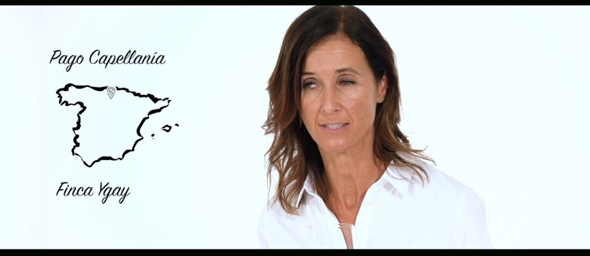 Tasting Capellania Reserva | Marqués de Murrieta Tasting Capellania Reserva | Marqués de Murrieta