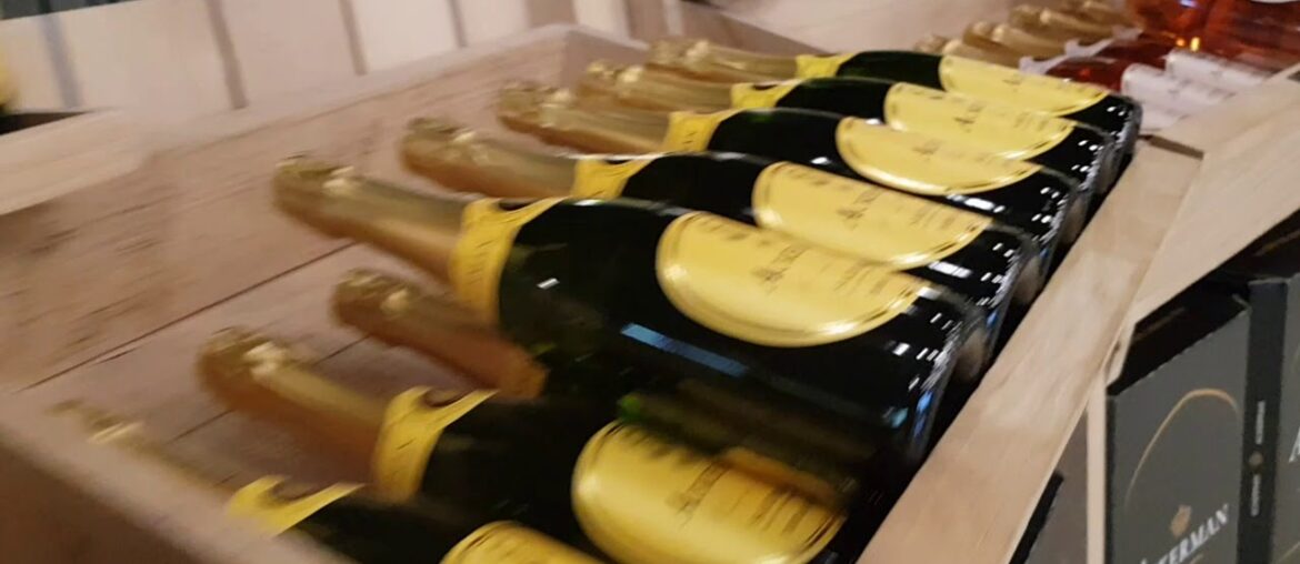 Soooooo much Wine - Vineyard Winery