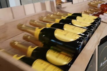 Soooooo much Wine - Vineyard Winery