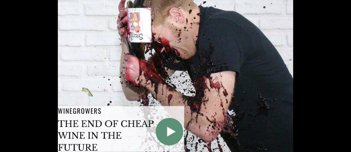 🍷The end of cheap wine 🍷The end of cheap wine