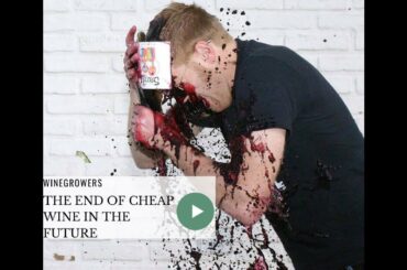 🍷The end of cheap wine