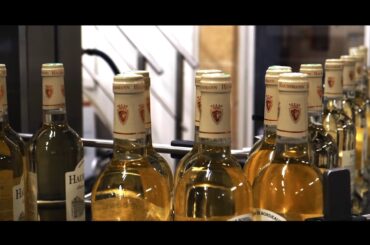 Della Toffola Group - Ligne de Conditionnement en France - Complete Wine Bottling & Packaging Line
