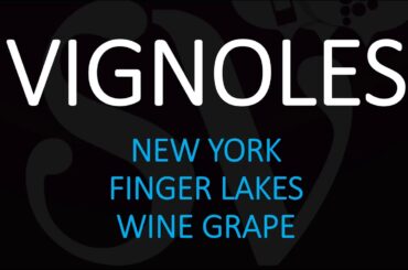 What is Vignoles? How do You Pronounce Vignoles Wine? New York's Finger Lakes Grape Trim