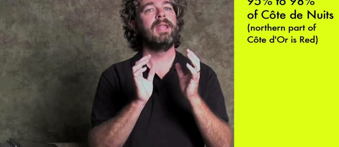 Wine-O-Pedia: Burgundy Part 1