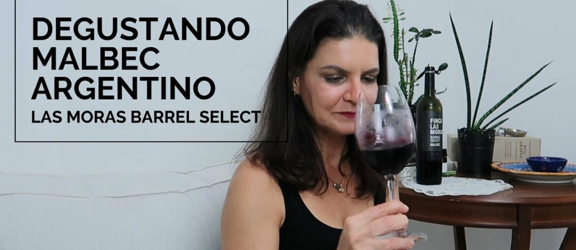 Vinho: Malbec da Argentina | Marcia Anholeti Vinho: Malbec da Argentina | Marcia Anholeti