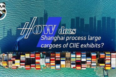Live: How does Shanghai process large cargoes of CIIE exhibits? 漂洋过海来参展 海上巨无霸抢先看
