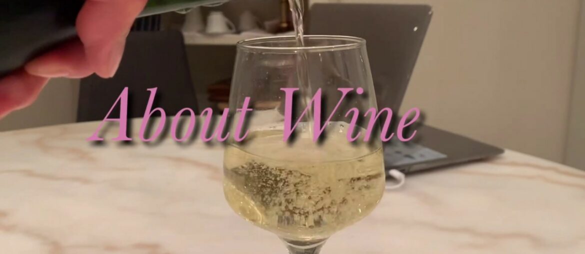 가성비 좋은 호주와인 추천 wine retailers and price upload france italian australian 프랑스 호주 이탈리아 뉴질랜드