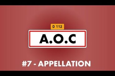 Vin'Stache #7 : L'Appellation d'Origine Compliquée ? Les Vins AOC - Partie 1 | English Sub