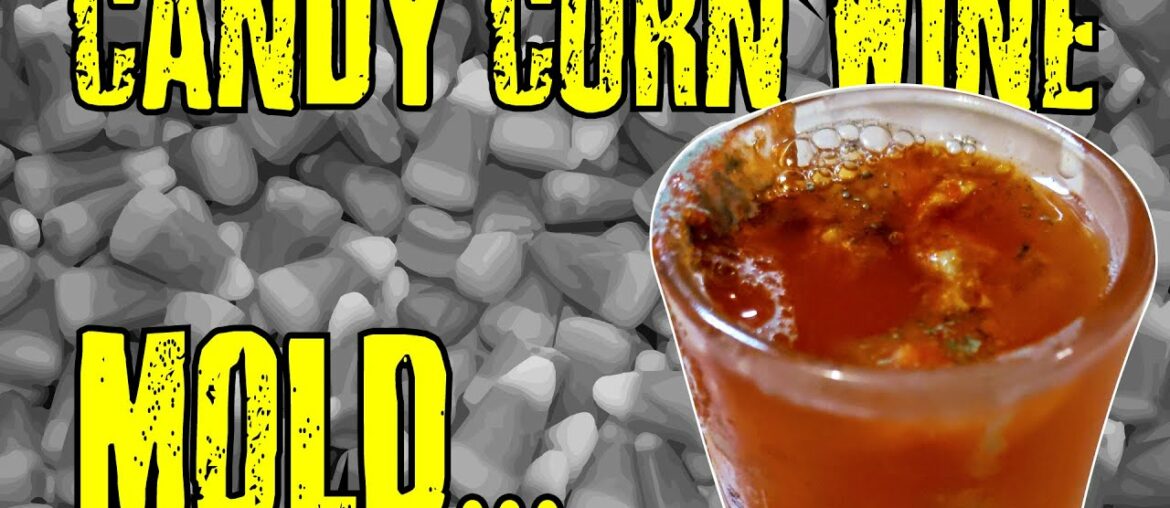 Candy Corn Wine Disaster – WHY IS IT SO MOLDY!?! Candy Corn Wine Disaster - WHY IS IT SO MOLDY!?!