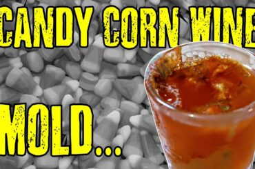 Candy Corn Wine Disaster - WHY IS IT SO MOLDY!?!