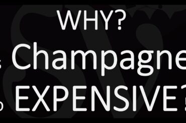 The Price of Champagne Wine... Why is it So Expensive?