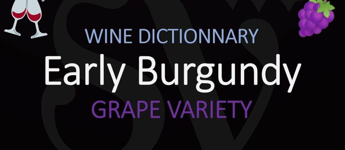 What is Early Burgundy? California Wine Grape Variety Information
