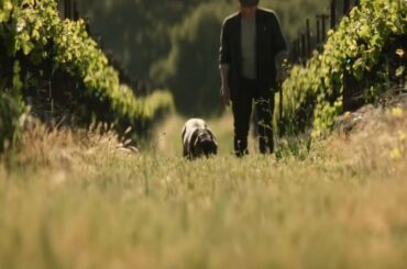 Discussing Chateau Picard Wine