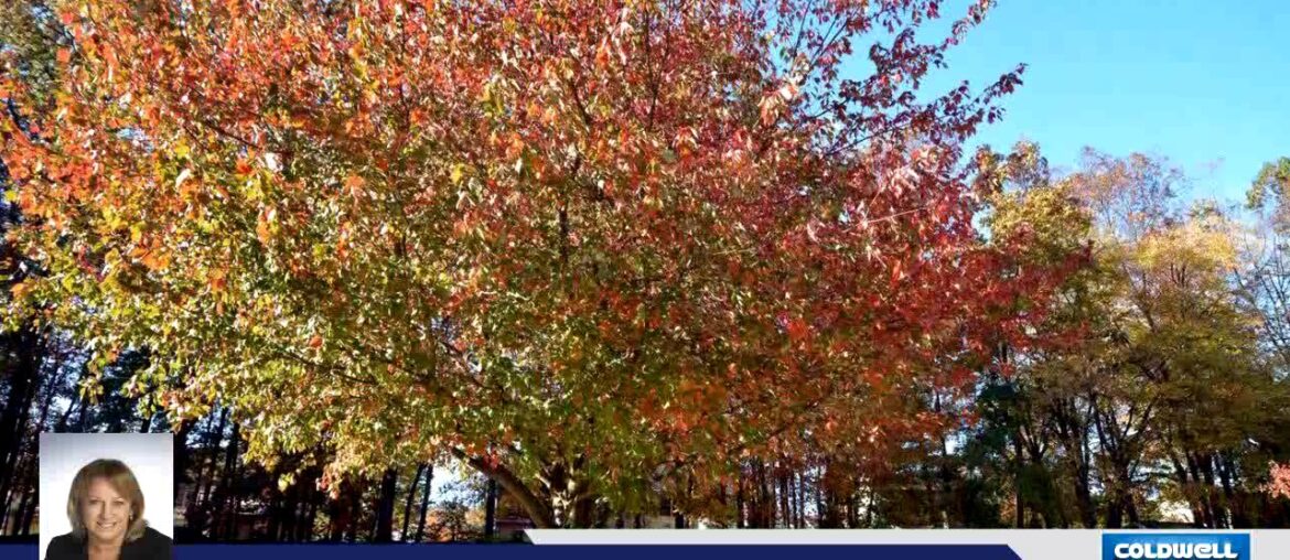 Residential for sale – 289 CINNABAR LN, YARDLEY, PA 19067 Residential for sale - 289 CINNABAR LN, YARDLEY, PA 19067