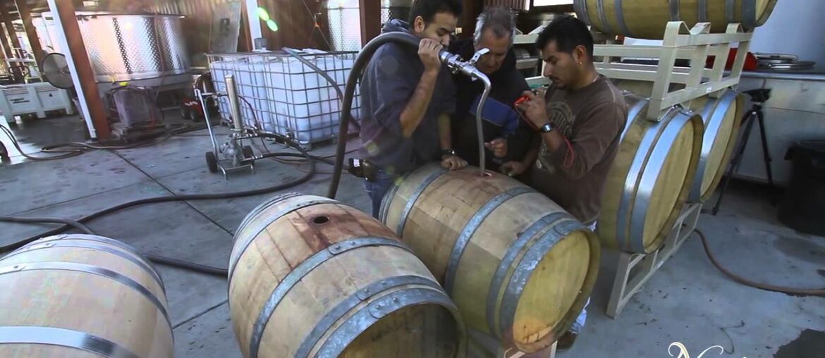 Vine to Wine, Winemaking at Naggiar Vineyards Vine to Wine, Winemaking at Naggiar Vineyards