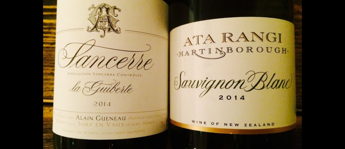 Wine Training - Sauvignon Blanc | Wine Training School