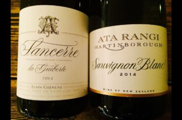 Wine Training - Sauvignon Blanc | Wine Training School