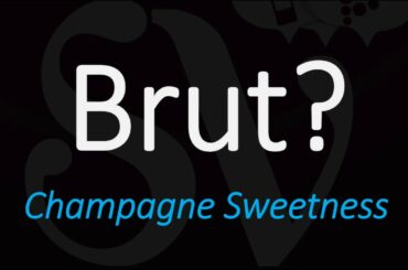 What is a Brut Sparkling Wine? Champagne, Cava, Prosecco - Wine Term Definition