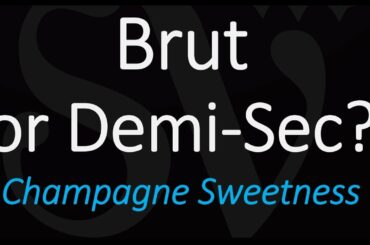 What's the Difference between Brut and Demi-Sec? Champagne Sparkling Wine, Cava, Prosecco